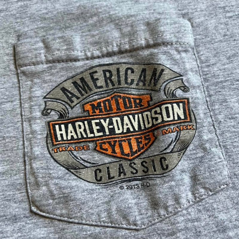 Harley Davidson Hog Vintage Tee